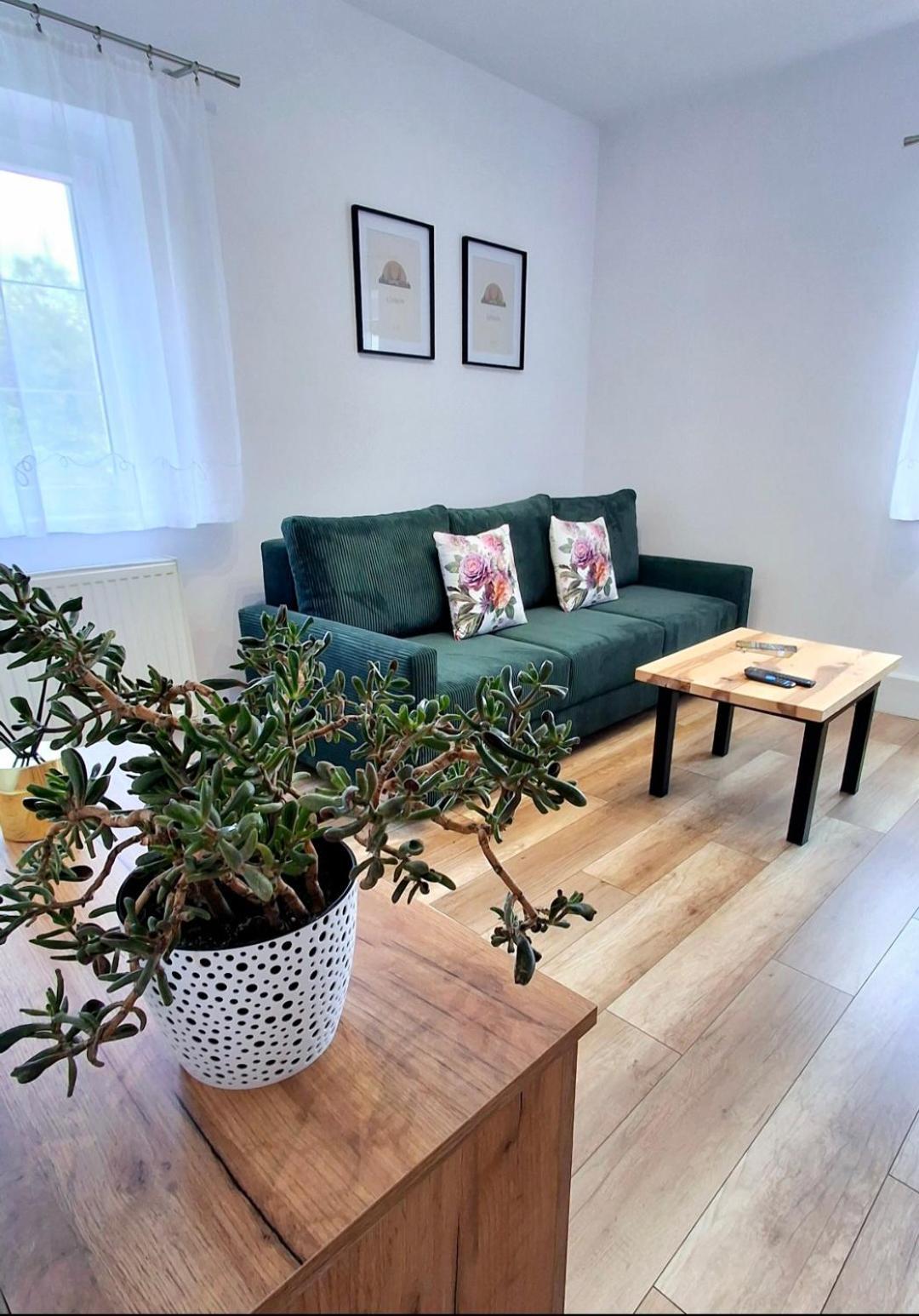 Apartament Dzika Roza Kowary Exteriör bild